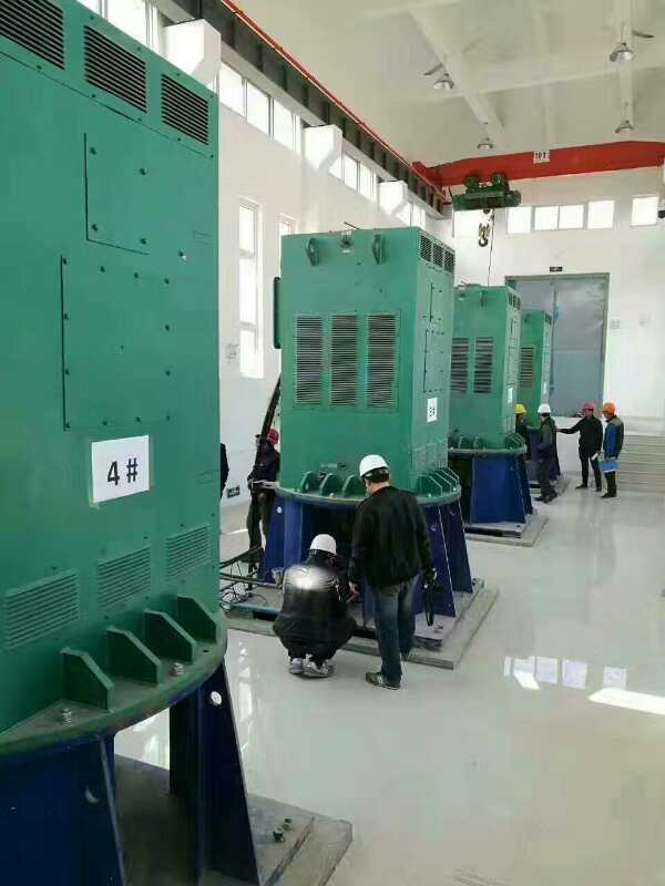 YKK6304-12某污水处理厂使用我厂的立式高压电机安装现场