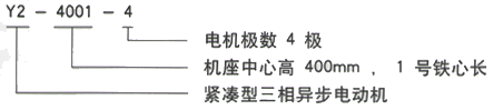 YR系列(H355-1000)高压YKK6304-12三相异步电机西安西玛电机型号说明